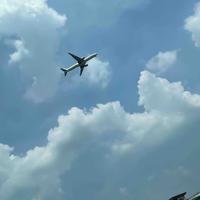 广州车友30220头像