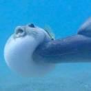 浣在掘金的个人资料头像