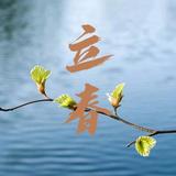 立春無塵头像