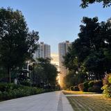 爱上邻居头像