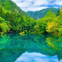 在奔跑中休息头像