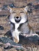 月到风来的个人资料头像