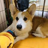 热闹沙滩Zn头像