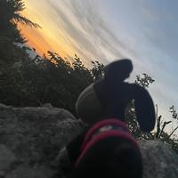 小阎要旅行头像