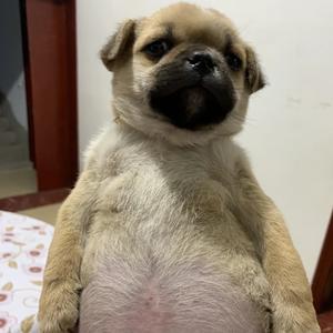 按摩世界头像