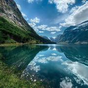 意逸的个人资料头像