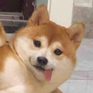 小孟的生活日常头像