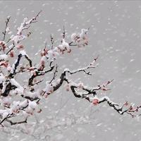 小郭说车车头像