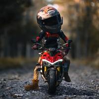 丨日富一日丨头像