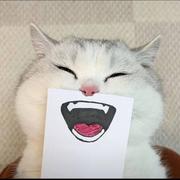 热泪不盈眶的个人资料头像