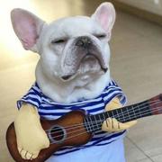 不会js得前端的个人资料头像