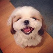 wuliming123的个人资料头像