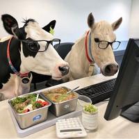 用户9299377687921头像