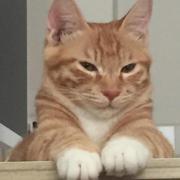 FunctionFun的个人资料头像