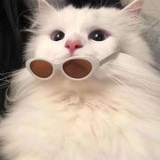 三一329的个人资料头像