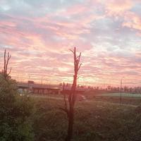 南瓜籽12138头像