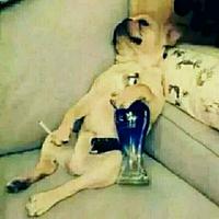 浅看那段情799头像