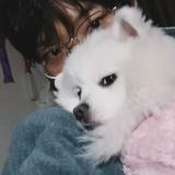 李嘣嘣嘣宇头像