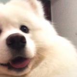 用户6394206596492头像