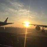 聪颖的才高八斗冰淇淋头像