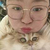 王小呆在奋斗头像