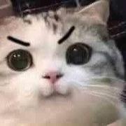 白开水428的个人资料头像