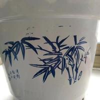 运筹帷幄豆芽头像