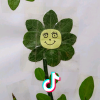 li666666头像