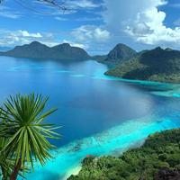 赚一亿美金头像