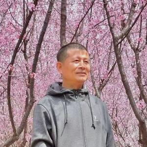 杨新林头像
