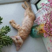 逍遥817的个人资料头像