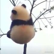 卖云的吴的个人资料头像