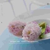 bjmy1678头像