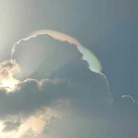 Playligheart10861451头像