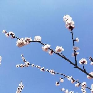 前后客头像