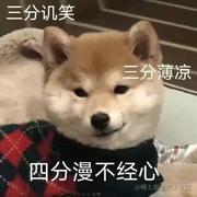 漩涡橘猫的个人资料头像