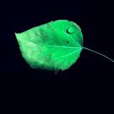 静者心多妙867头像