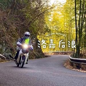 沙雕网友金酱头像