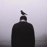 FinnChen的个人资料头像