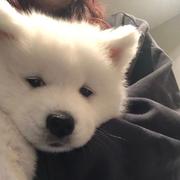 小新新新新新新的个人资料头像