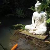 背影固执头像