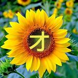 阿才故事汇0n8N头像