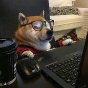 鄙人王路飞的个人资料头像