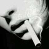 不才无忧树头像