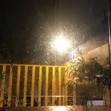 飞猪侠910头像