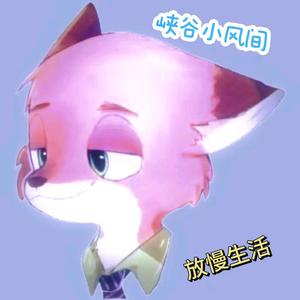 星说小视频头像