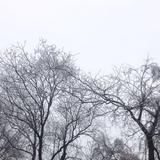 AresBen_头像