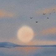 赐予我力量吧的个人资料头像