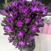 伞老师教你如何选车头像