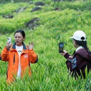 盼姐~蒙阳雨润市场头像